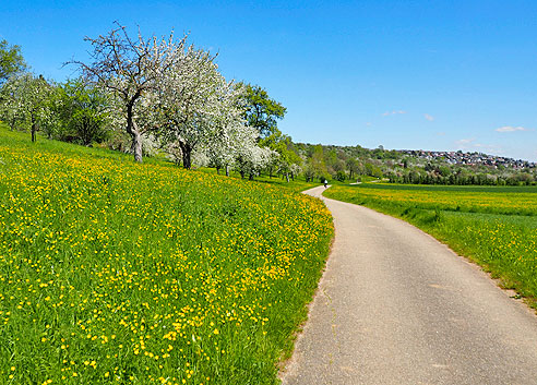 Radtour am Neckarradweg von Tübingen bach Bad Cannstatt