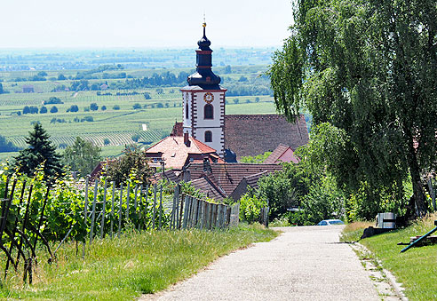 Rundtour von Landau  über St. Martin