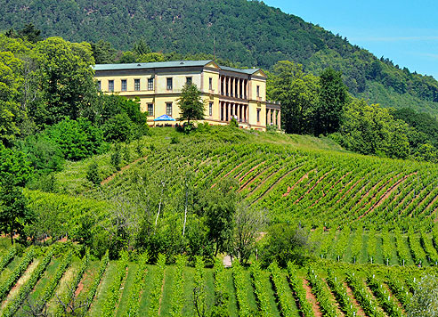 Rundtour von Landau  über St. Martin