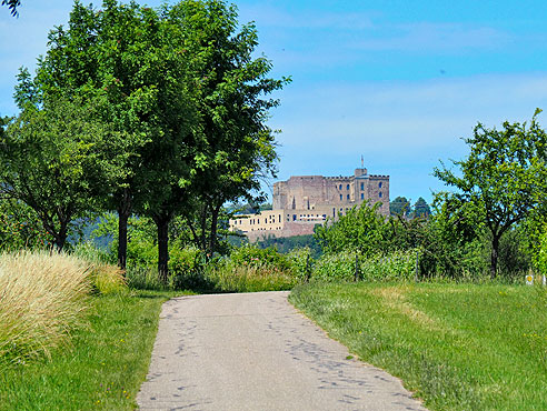 Rundtour von Landau  über St. Martin