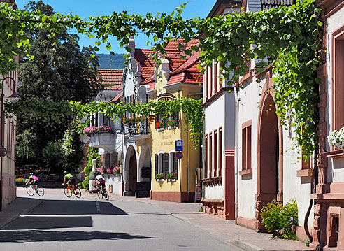 Rundtour von Landau  über St. Martin