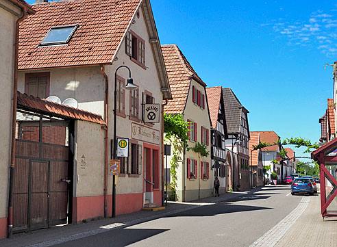 Rundtour von Landau  über St. Martin