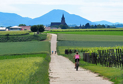 Rundtour von Landau  über St. Martin