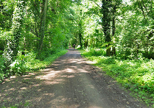 Rundtour von Landau  über St. Martin