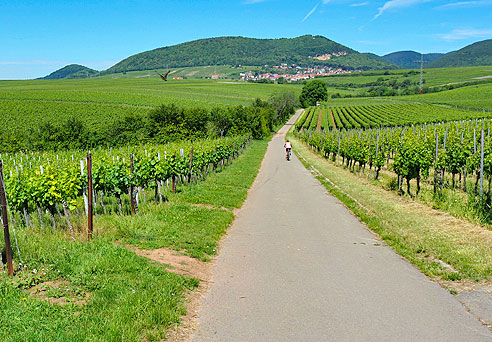 Rundtour von Landau  über St. Martin