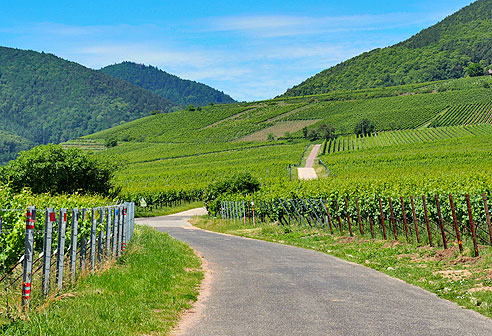 Rundtour von Landau  über St. Martin