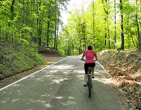 Rundtour auf die Berge um den Trifels, zurück im Queichtal