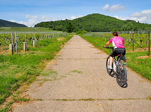 Rundtour auf die Berge um den Trifels, zurück im Queichtal