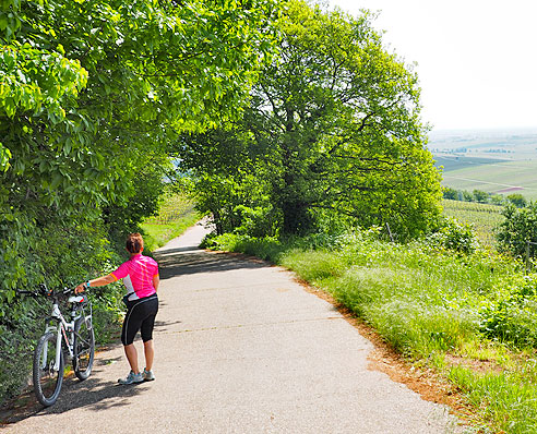 Rundtour auf die Berge um den Trifels, zurück im Queichtal