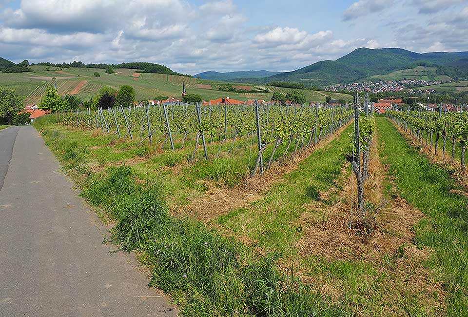 Die Höhenlage bietet eine weite Aussicht