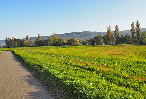 Im frühen Abendlicht leuchten die Herbstfarben noch stärker