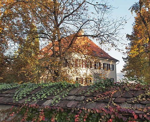 Schloss Marbach liegt oberhalb des Rheins