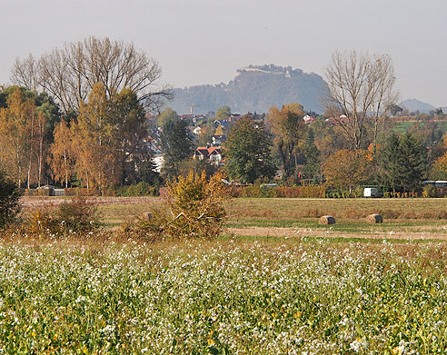 Der Hohentwiel beherrscht die Landschaft