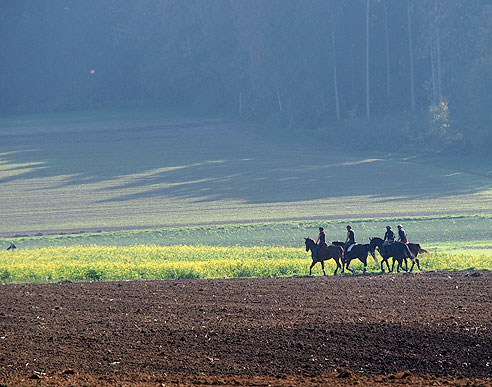 Der Herbstwald lockt Reiter und Radler