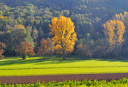 Prächtige Farben bringt der Herbst hervor