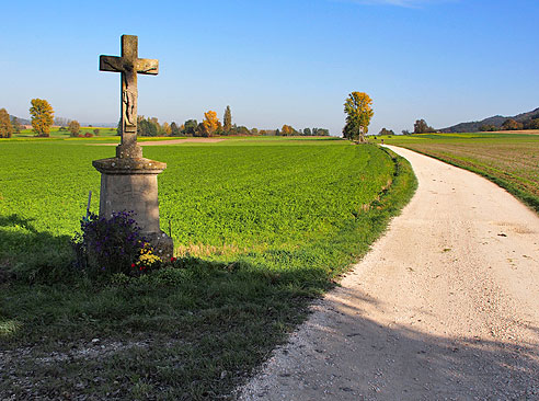 Schon auf Schweizer Seite über die grüne Grenze