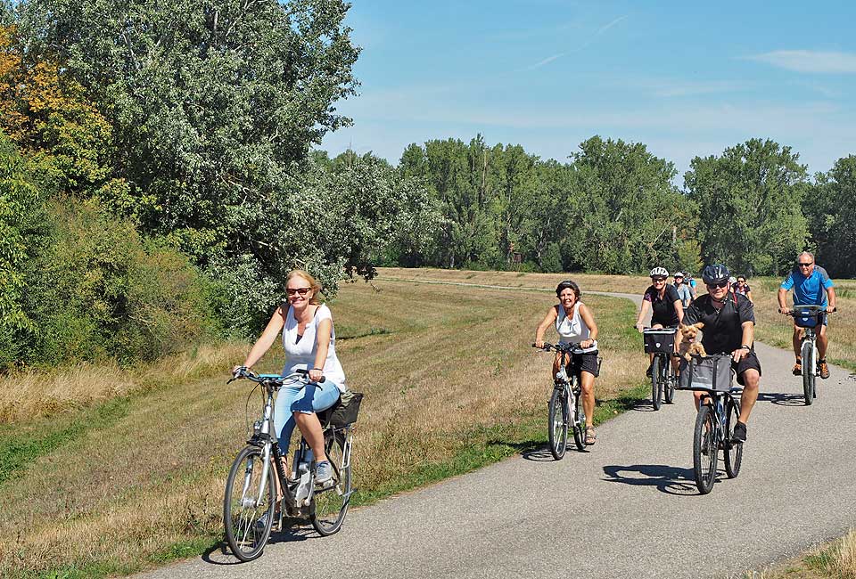 Auf dem Radweg geht es am Rhein entlang