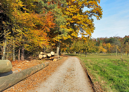 Runde Weil der Stadt, Moldenhof, Ostelsheim, D&auml;tzingen und zurück
