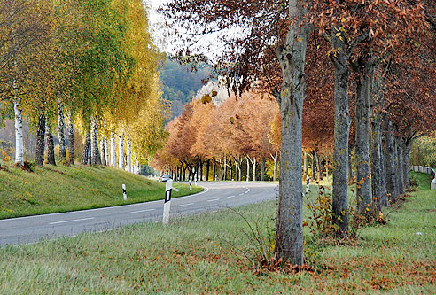 Runde Weil der Stadt, Moldenhof, Ostelsheim, D&auml;tzingen und zurück