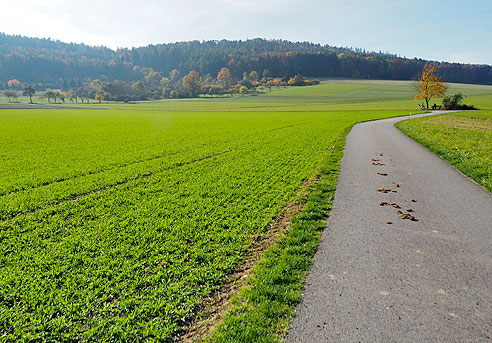 Runde Weil der Stadt, Moldenhof, Ostelsheim, D&auml;tzingen und zurück