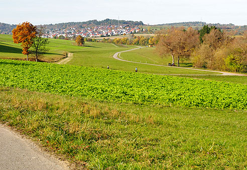 Runde Weil der Stadt, Moldenhof, Ostelsheim, D&auml;tzingen und zurück