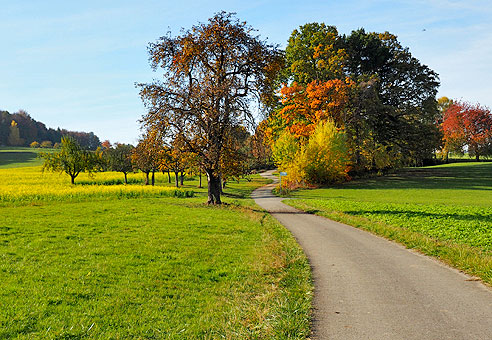 Runde Weil der Stadt, Moldenhof, Ostelsheim, D&auml;tzingen und zurück