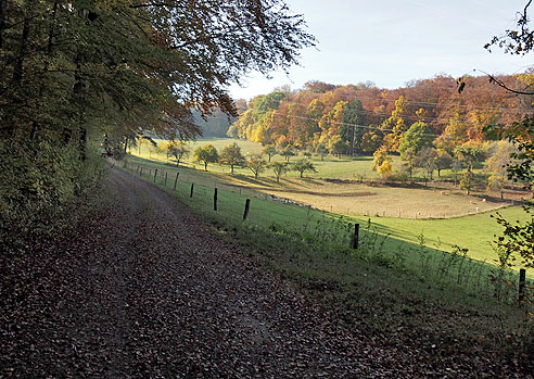Runde Weil der Stadt, Moldenhof, Ostelsheim, D&auml;tzingen und zurück
