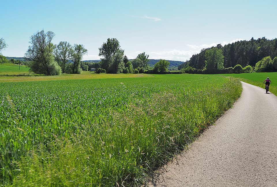 Der Naturweg folgt der Enz bis zur Mühle