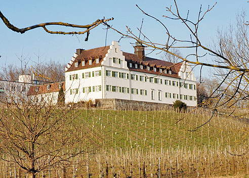 Schloss Helmsdorf bei Hagnau