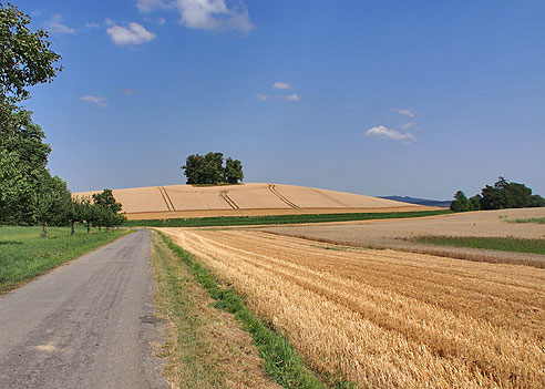 Die Landschaft scheint sehr fruchtbar zu sein