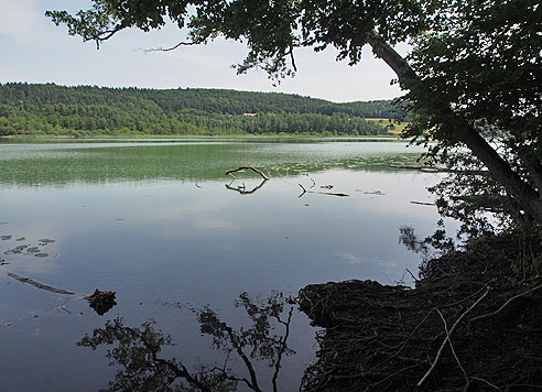 Der Minelsee ist ein typischer Gletscherzungensee im Bodanrück