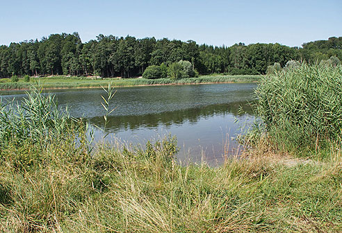 Museum Benningen