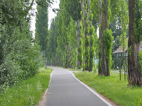 Der Dammweg zwischen Festland und Insel Reichenau ist 3 km lang