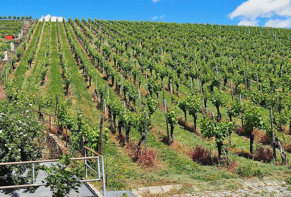 Der Remstalradweg ist seit der Landesgartenschau 2019 neu beschildert