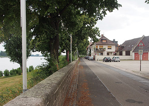 Radweg bei Rheindürkheim