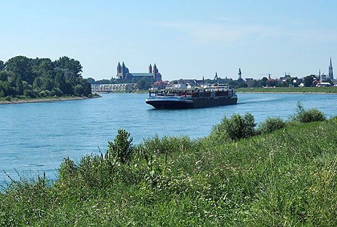 Blick vom Rheindamm auf Speyer
