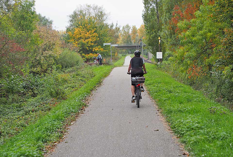 Fahrradrunde von Maximiliansau nach Leimersheim, Insel Rott und entlang der Alb zurück