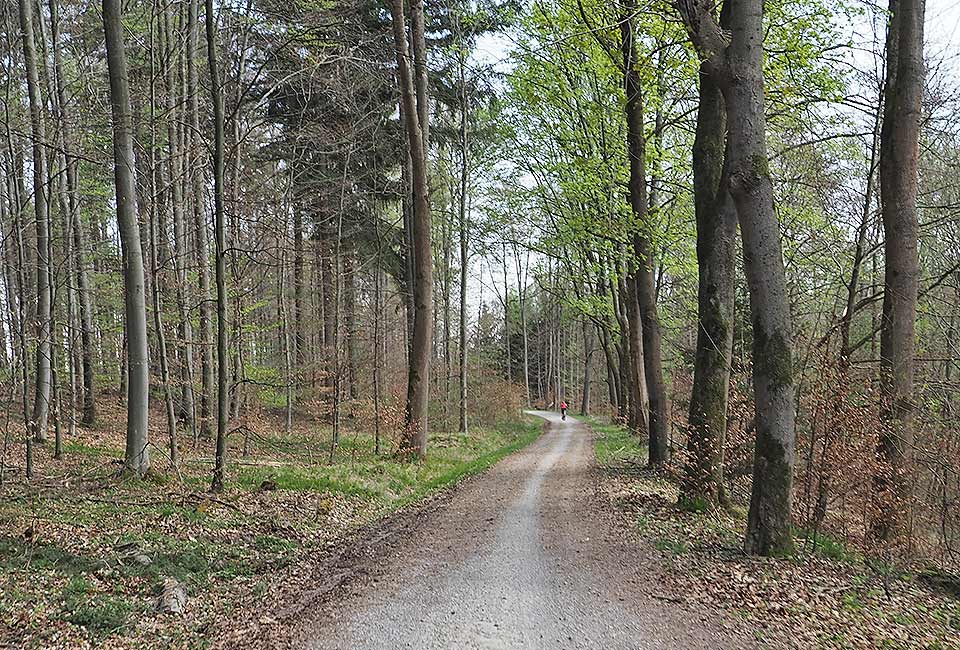 Rundtour Weil der Stadt zum Quellgebiet der Glems