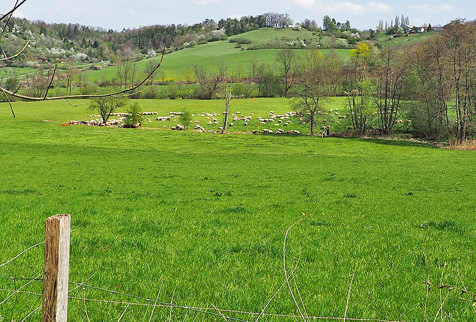 Rundtour Weil der Stadt zum Quellgebiet der Glems