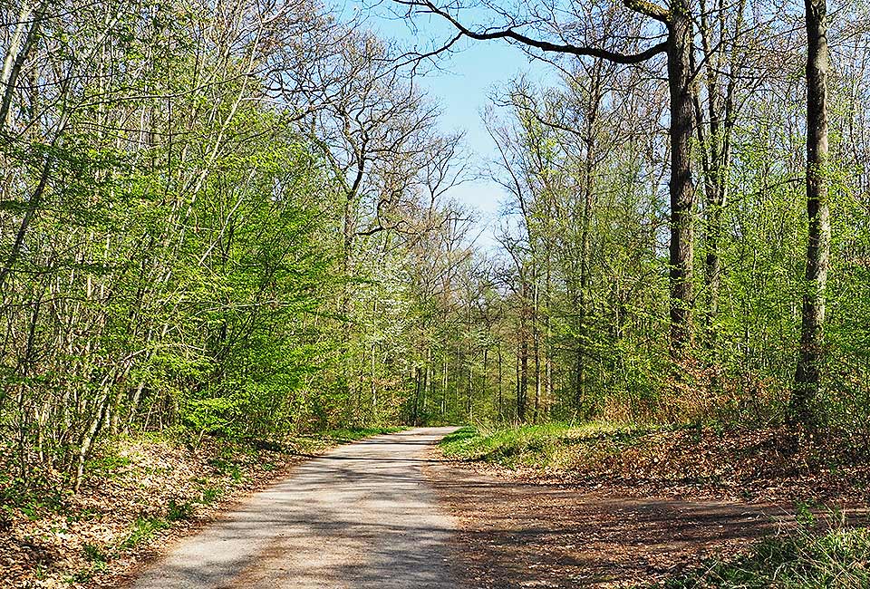 Rundtour Weil der Stadt zum Quellgebiet der Glems