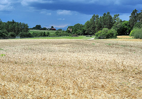 Radrunde Weil der Stadt bis zur Glemsquelle und über Eltingen zurück