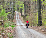 Saarlandradweg