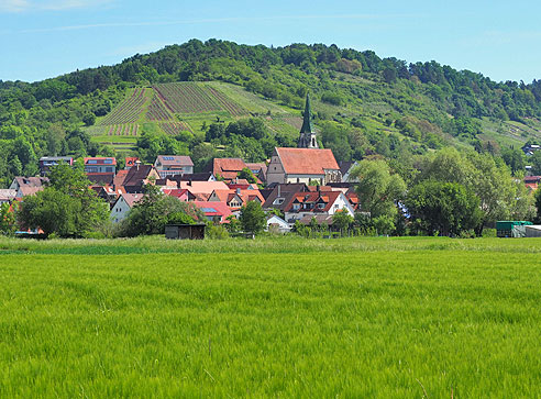 Radrundtour von Herrenberg nach Tübingen und durch den Schönbuch zurück