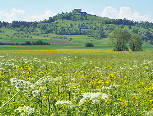 Radrundtour von Herrenberg nach Tübingen und durch den Schönbuch zurück