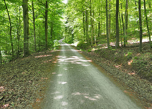 Radrundtour von Herrenberg nach Tübingen und durch den Schönbuch zurück