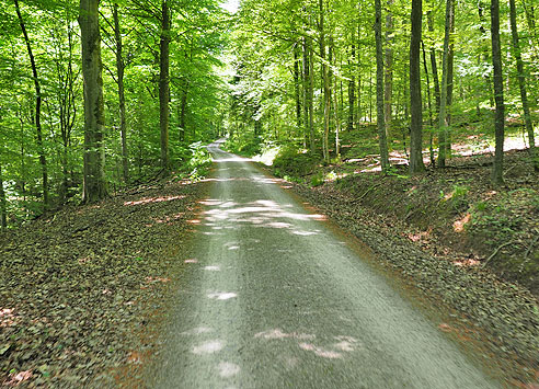 Radrundtour von Herrenberg nach Tübingen und durch den Schönbuch zurück