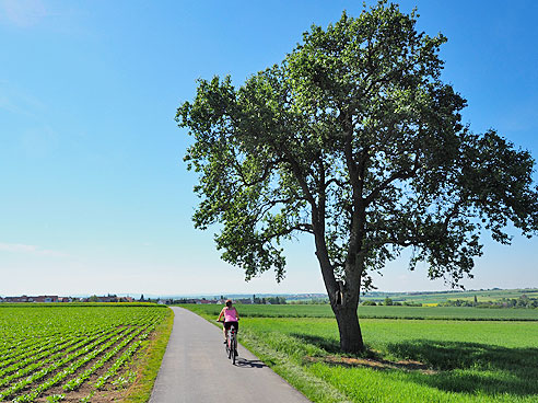 Radrundtour von Herrenberg nach Tübingen und durch den Schönbuch zurück