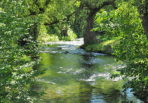 Radrundtour von Herrenberg nach Tübingen und durch den Schönbuch zurück