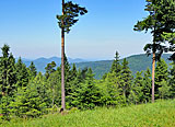 Schwarzwald-Panorama-Radweg 
Alternative über die Sommerbergbahn