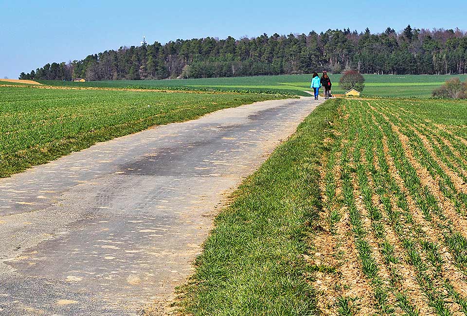 Rundtour Weil der Stadt - Herrenberg